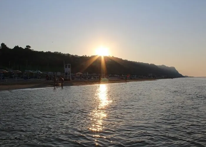 Norina 3* Πέζαρο