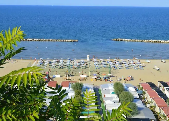 Norina 3* Πέζαρο